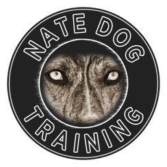 Nate Dog Training