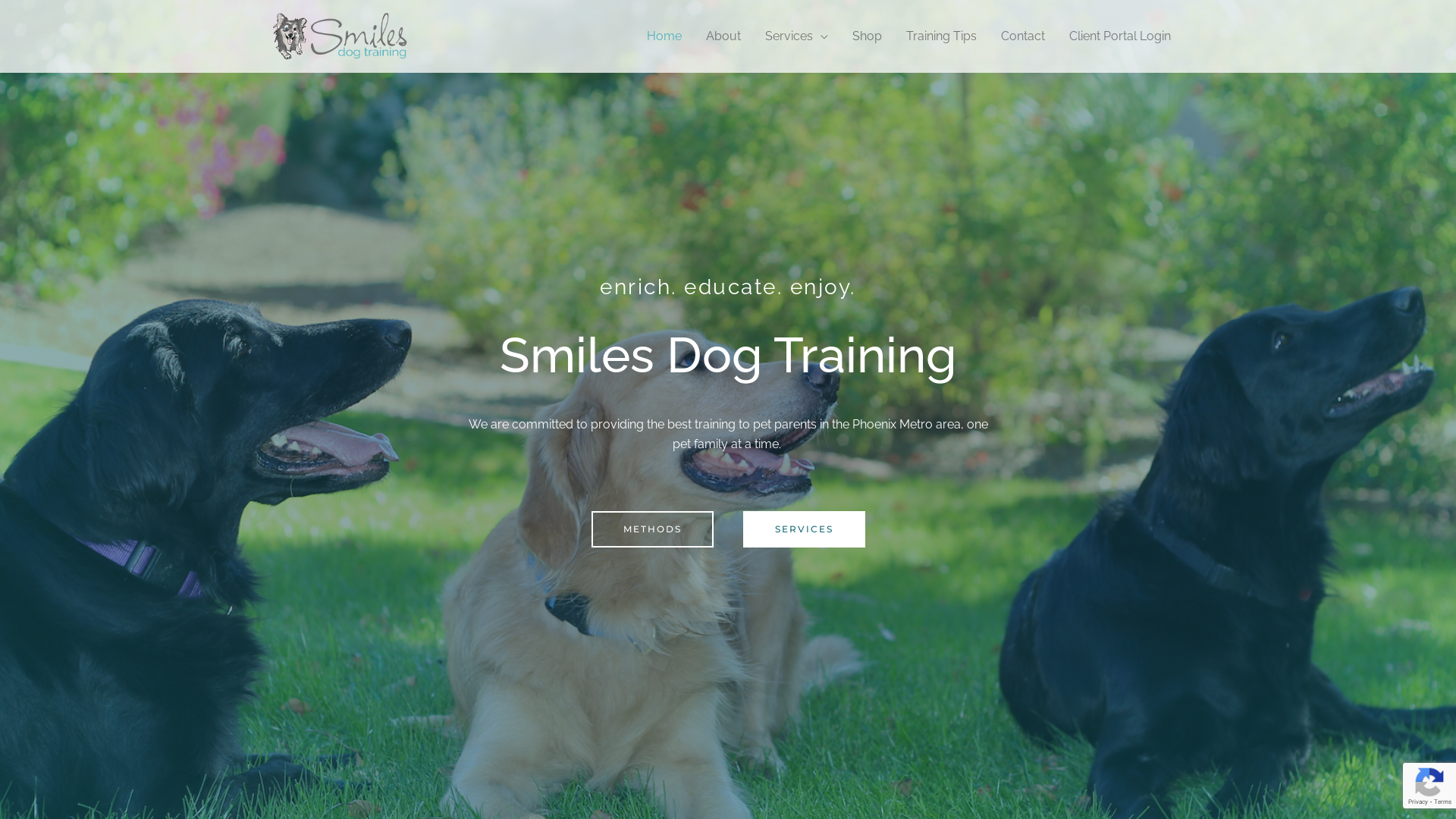 Smiles Dog Training