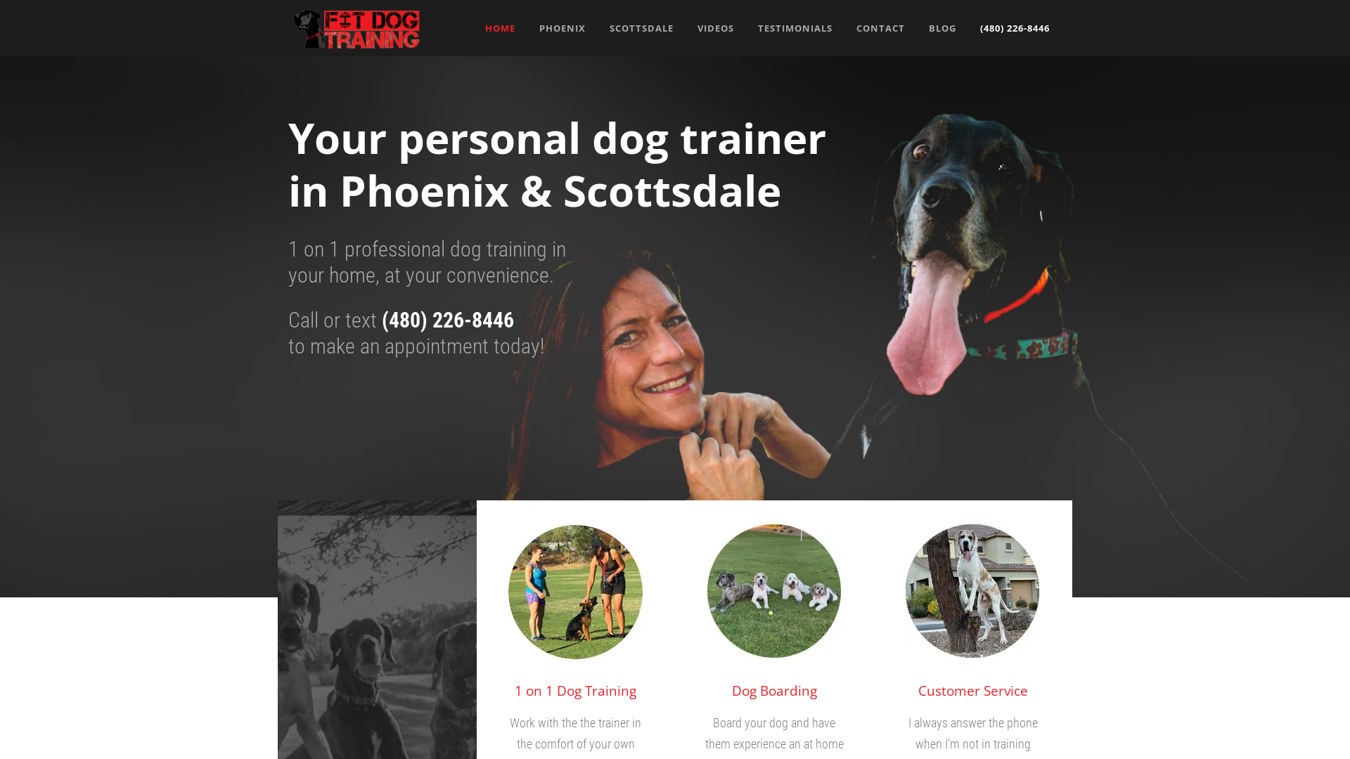 Fit Dog Training